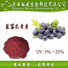 花青素 5% 蓝莓花青素 蓝莓提取物 规格5%-25% 柏威现货批发零售