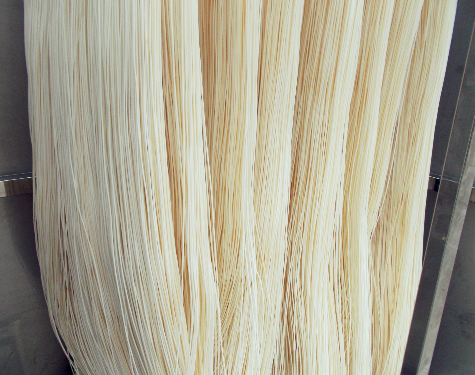 mbr帘式超滤膜组件 中空纤维膜组件 mbr膜 污水处理膜mbr膜组件