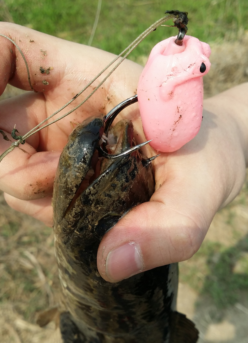 渔猎正品雷蛙11克通用型小蒙眼带倒钩刺血槽钩青蛙黑鱼路亚饵蛙