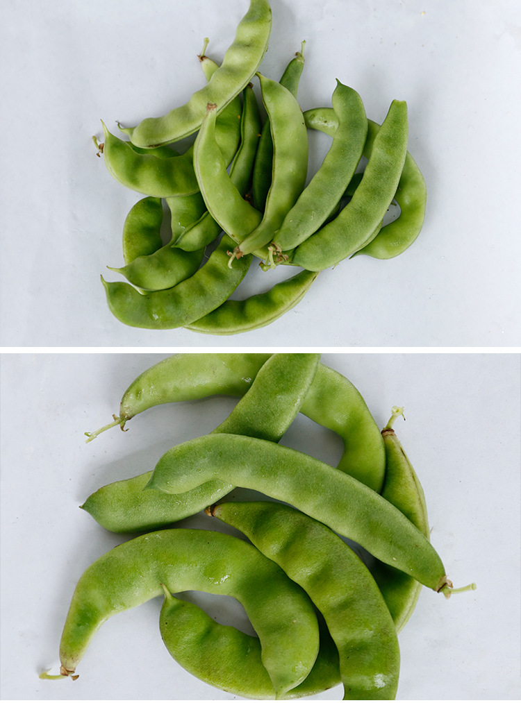 东北特产新鲜蔬菜正品农家自产豆角 袋装速冻新鲜扁豆角批发