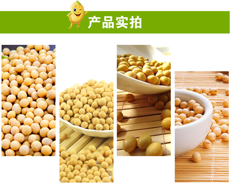 东北大豆 非转基因黄豆 发芽黄豆小金黄 有机小黄豆各种规格.