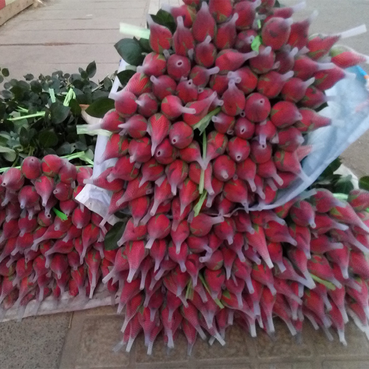 啊里巴巴鲜花批云南鲜切花批发红玫瑰卡罗拉鲜切1扎20只一