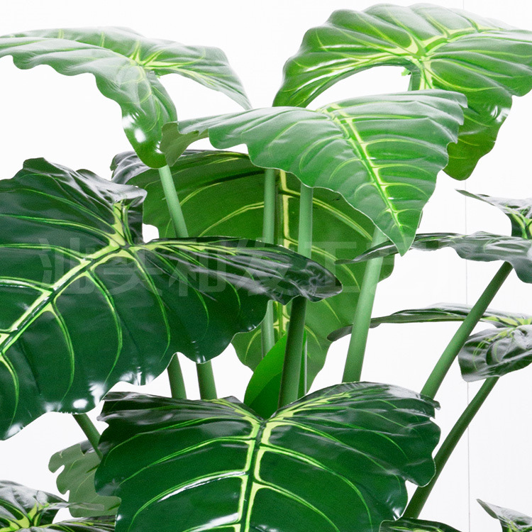 室内绿植盆景 套管12叶红掌 马蹄莲 仿真花卉 塑料绿叶盆栽