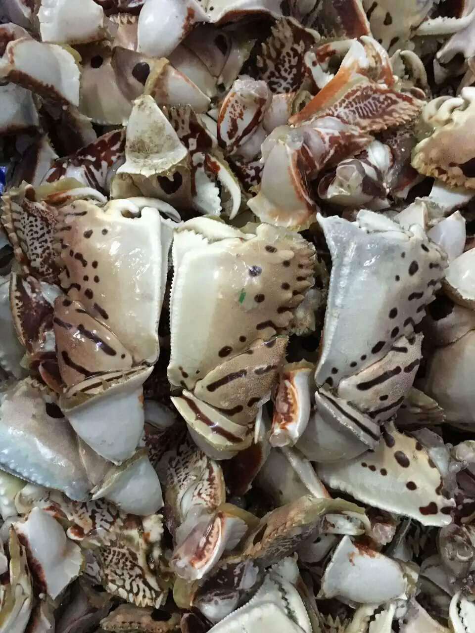 家之宴 海鲜 新鲜冷冻 元宝蟹脚 馒头蟹腿 面包蟹,珍宝蟹钳