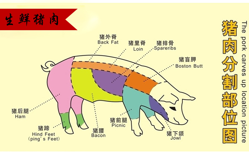 本地二元猪 活猪生猪毛猪销售黔中交易市场批发订购10.8元.