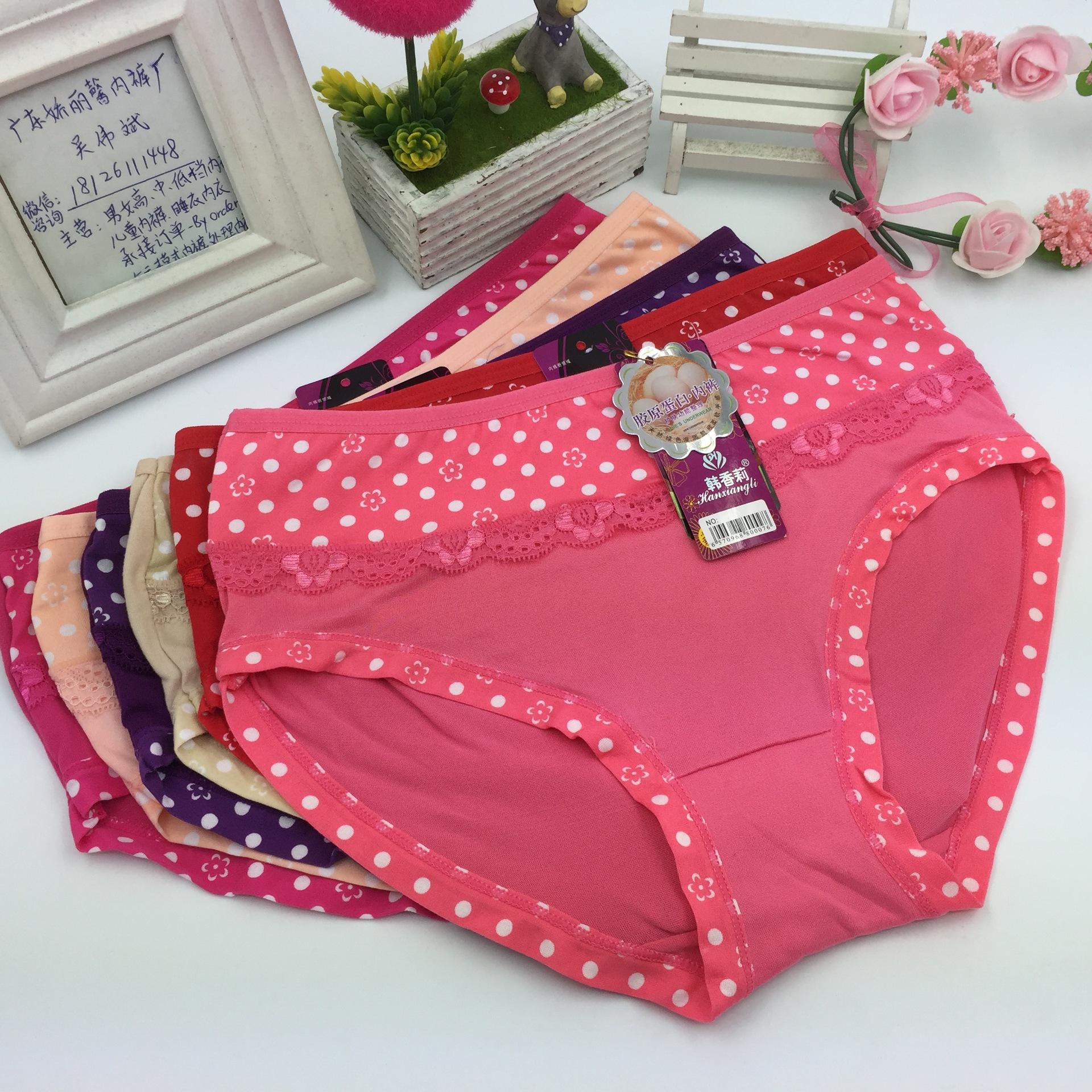 新款蕾丝三角女士内裤中腰女式内裤时尚普宁内裤厂家特价
