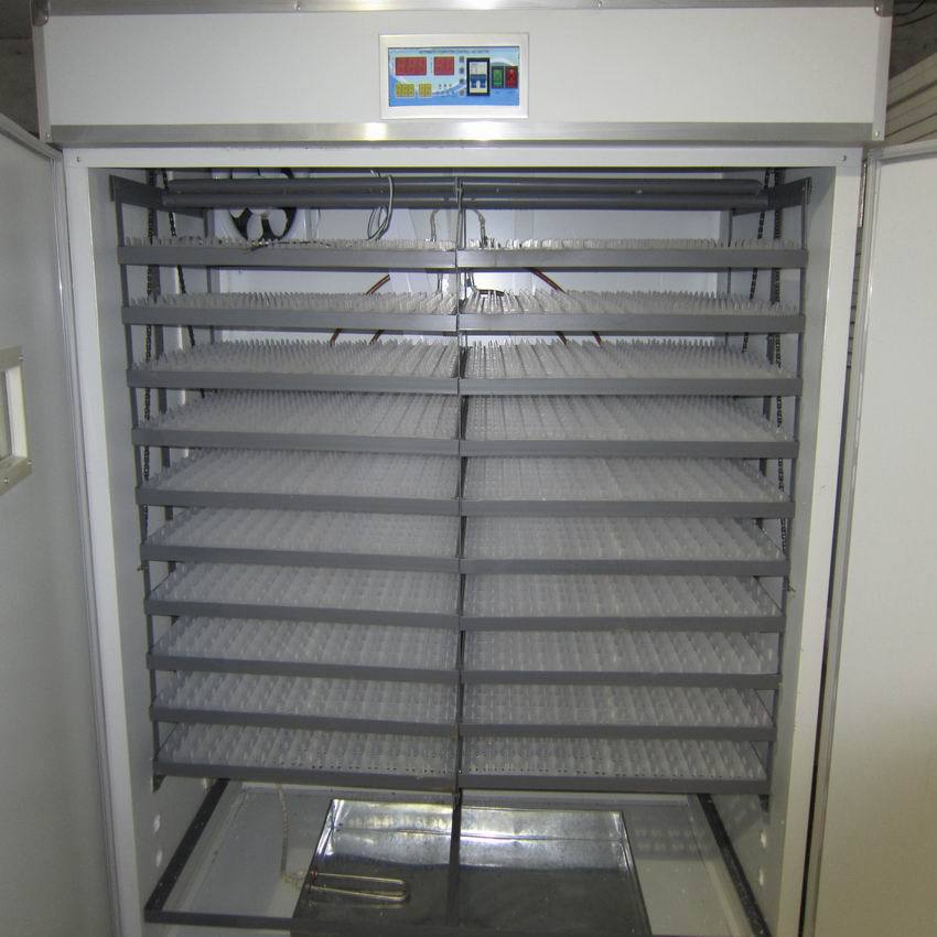 4224全自动孵化机 中型孵化机 孵化器 孵蛋机 鸽子孵化广州孵化机