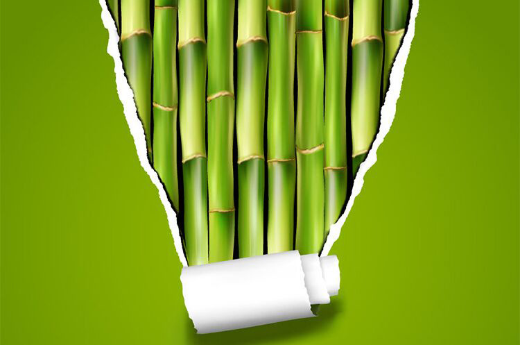 家用手纸_竹娘子妇婴本色纸竹浆纸巾竹纤维有芯卷纸家用手纸整箱包邮 