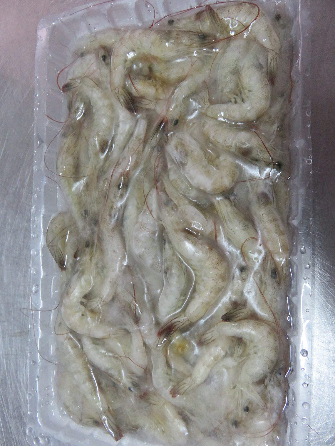 虾 连头虾 南**连头虾 活冻青虾 230条 托盘装连头虾.