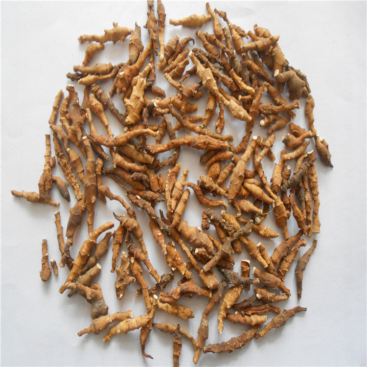首页 苗木 水生植物 菖蒲 >中药材批发 水洗 节菖蒲  九节菖蒲商品