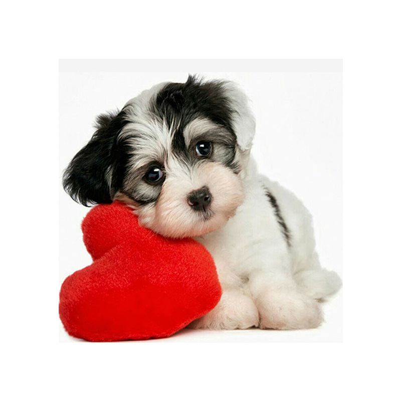 钻石画diy爱心狗2.8尖顶圆满钻绣 客厅装饰 新款图片厂家定做