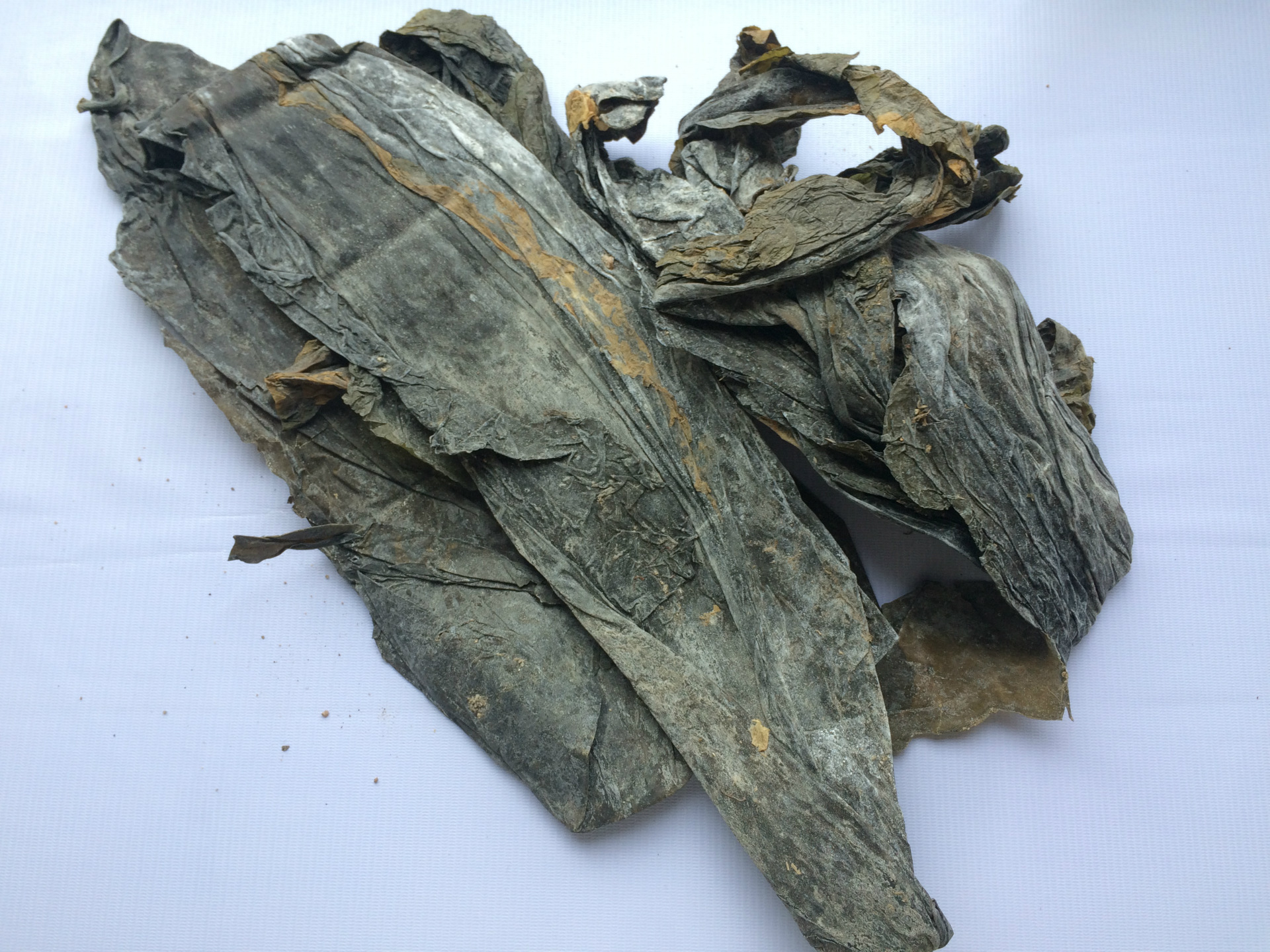 跑江湖海带干货 干海带厂家直销 热销年货年货干货 地摊货源