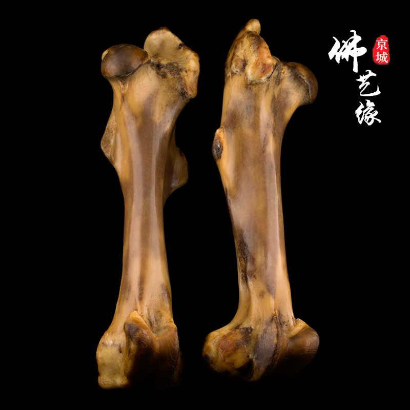 文玩骆驼骨大腿骨原材料 自然带血-阿里巴巴