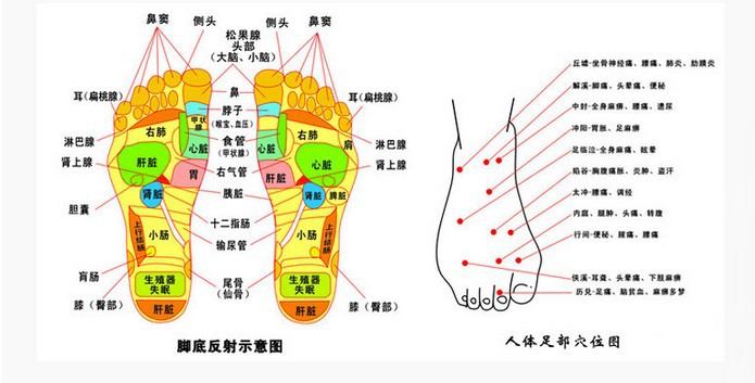 艾叶泡脚袋 泡脚包 中药包 脚气脚臭专用大量批发 使用方法:一年四季