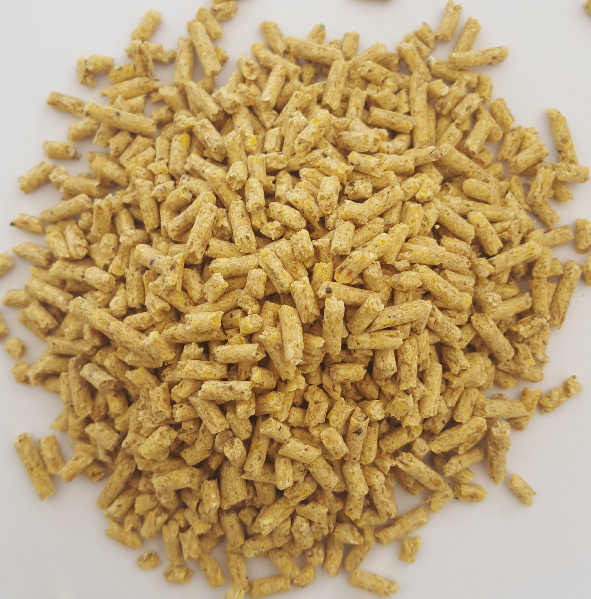 鼎圣仔猪配合料e-302猪料猪配合全价浓缩料精膨化豆粕猪饲料