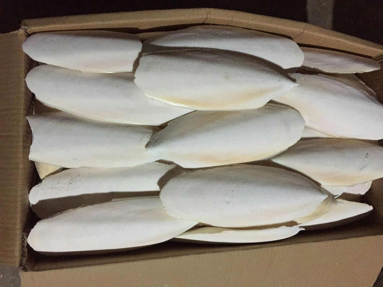 中药材批发 乌贼骨 海螵蛸 墨鱼骨 三证齐全