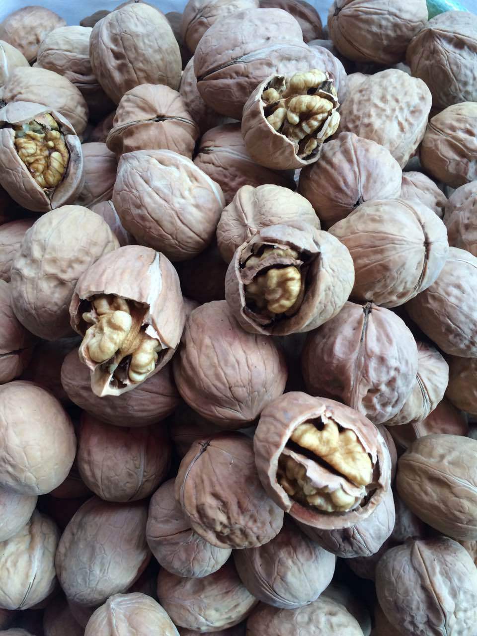 产地直销新疆薄皮核桃原味薄皮生核桃纸核桃江湖地摊展会热卖