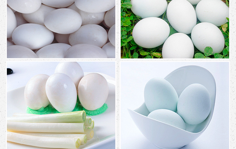 厂家直销郎德鹅蛋本地新鲜鹅蛋 淘宝供应无公害鹅蛋批发 量大从优