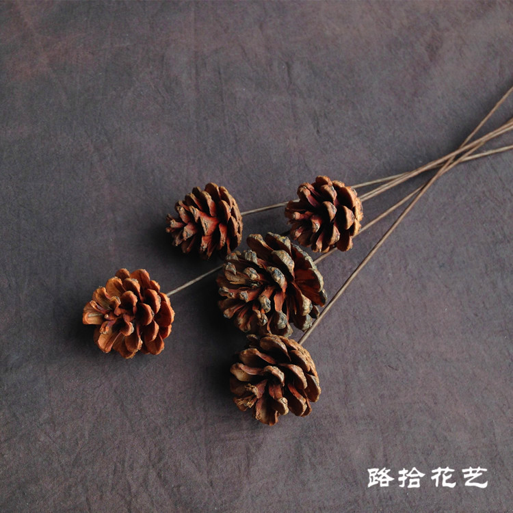 家居装饰禅意艺术拍摄道具天然手工diy松球摆件原生态松果干花