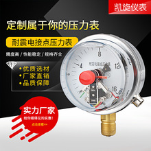厂家供应压力表 电接点压力表 耐震电接点压力表YNXC100 磁助式