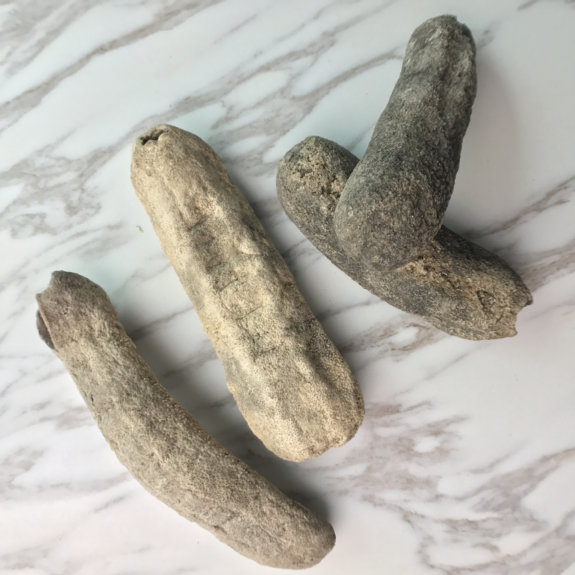 广州干货_广州干货供应商_广州干货批发市场