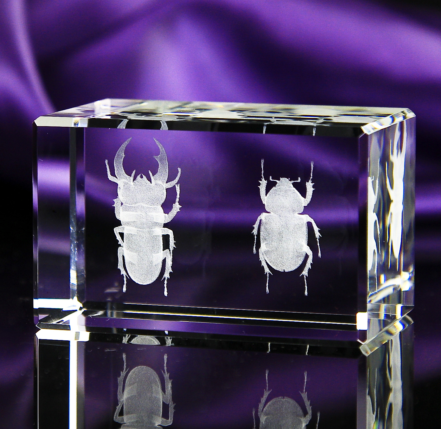 品 工艺摆件 内雕甲虫立体图 水晶礼品 产品介绍 名称:3d水晶内雕昆虫