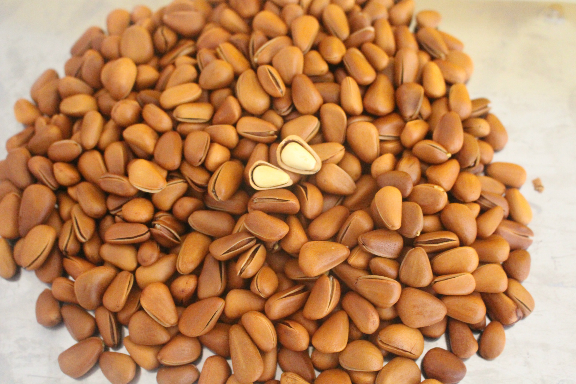 【鸿礼】2016年新货 批发东北开口松子手剥松子200g/袋 特大籽