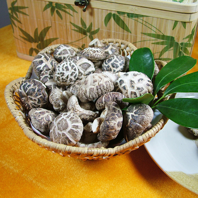 【邑珍】 优质一级花菇 大花菇 秋栽一号天白花菇茶花菇散装批发