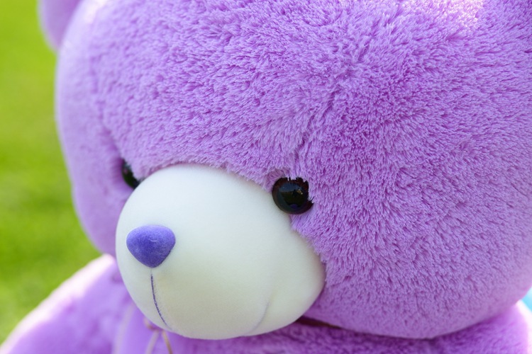 厂家直销 一件代发紫色薰衣草小熊 泰迪熊毛绒玩具公仔 生日礼物