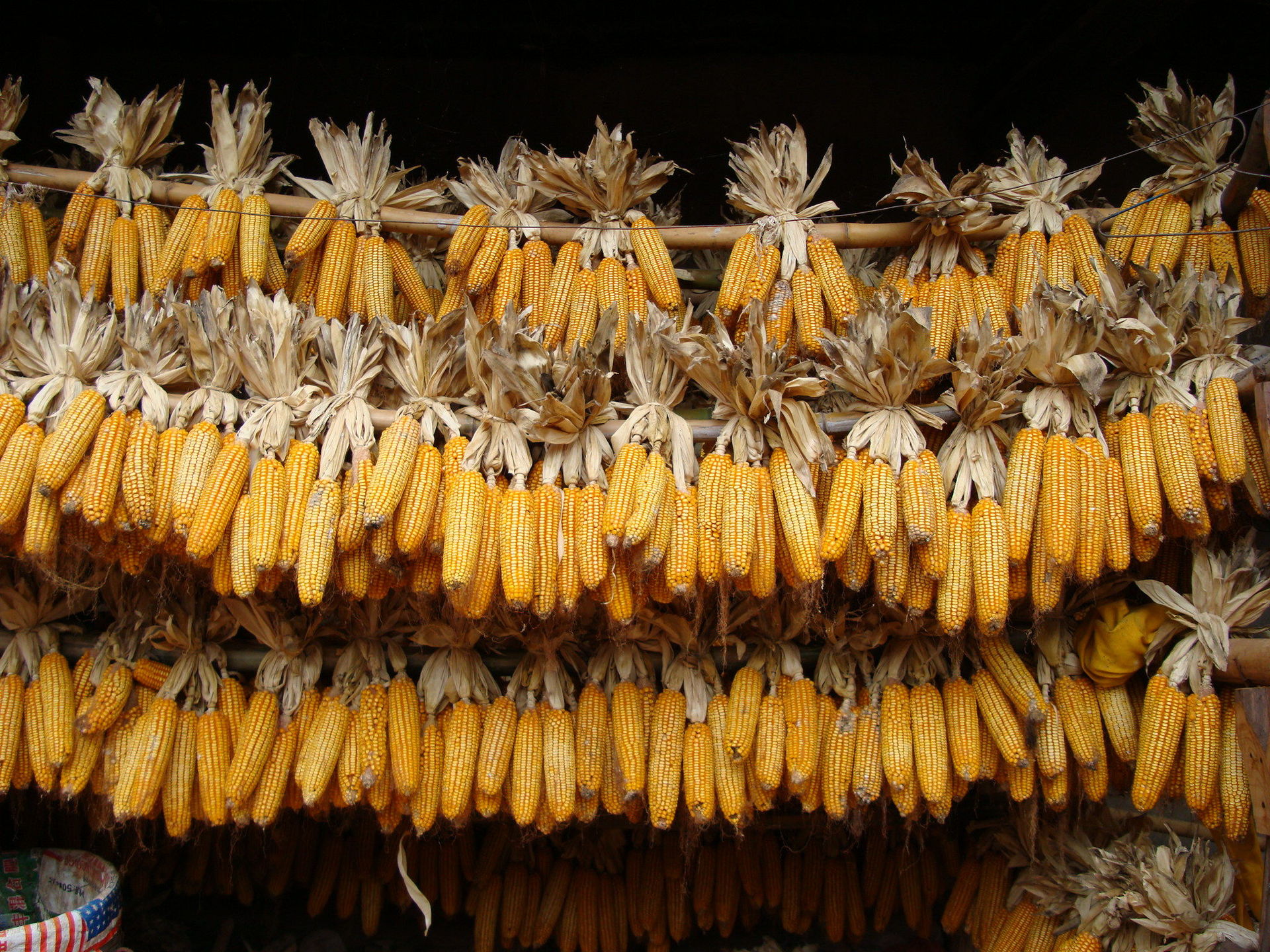 沁园果 浙江特产美食小吃零食传统糕点 原味玉米酥糖芝麻