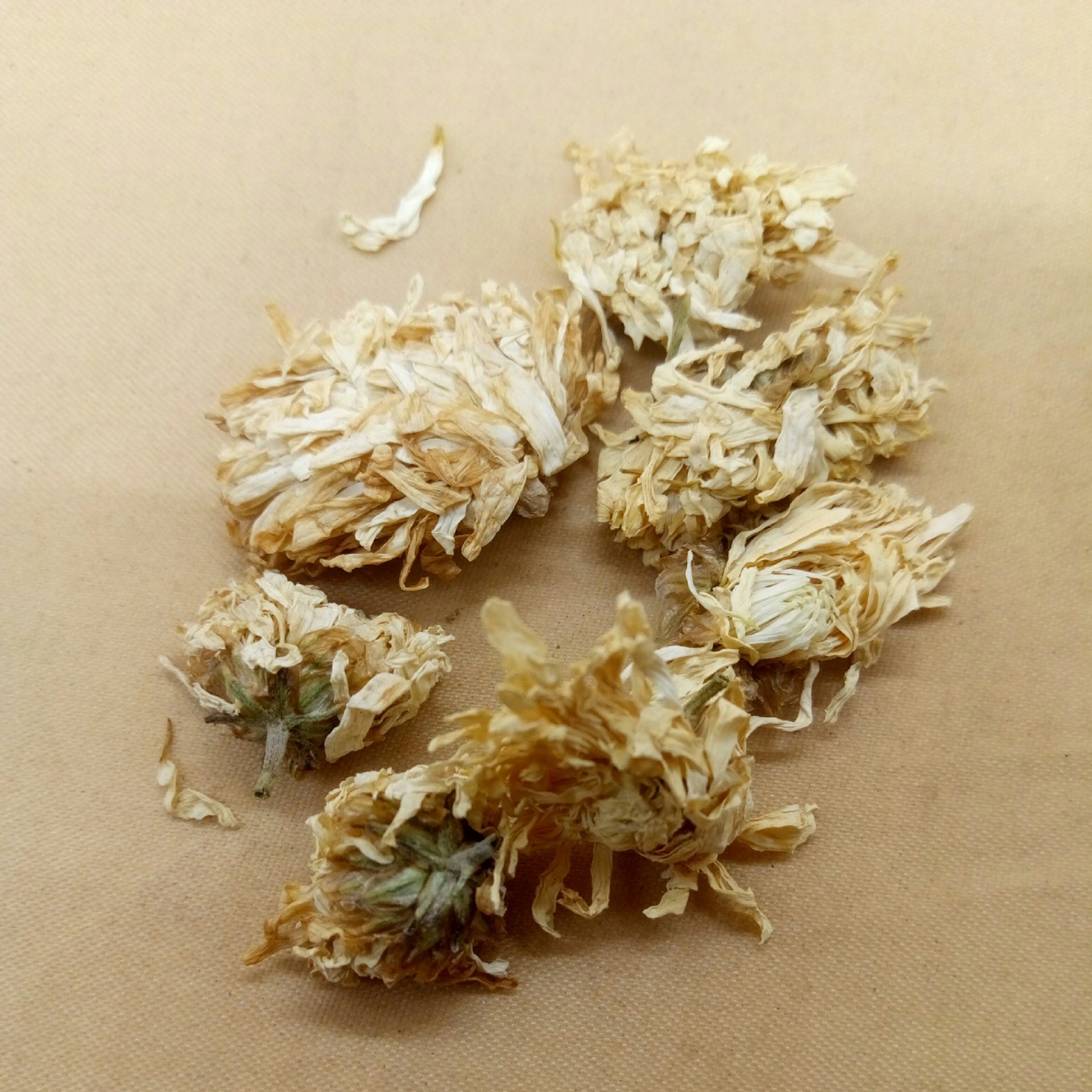 天然无硫菊花祁菊保含量中药菊花安国地产菊花