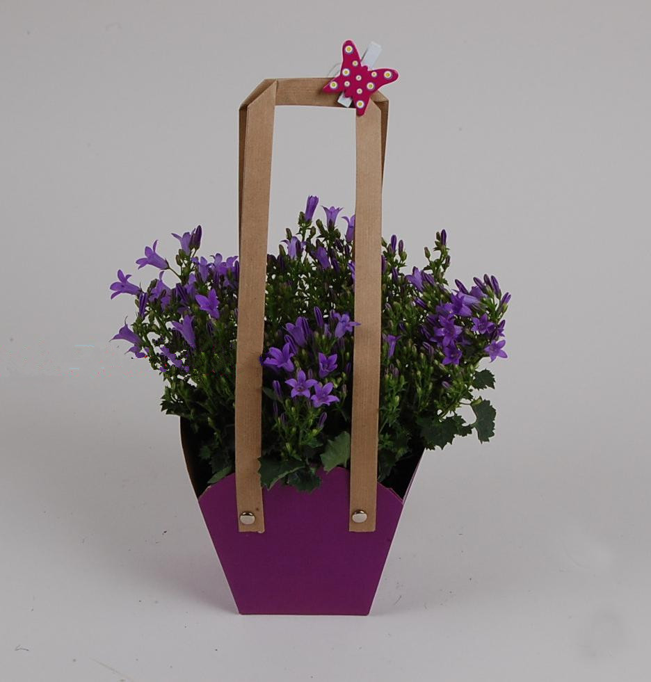 多肉植物盆栽袋牛皮纸鲜花盆景包装袋礼品袋手提袋子批发可定制