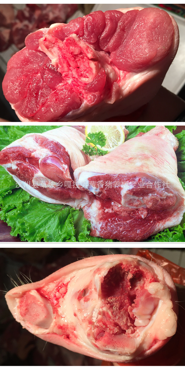 营养丰富 四川藏香猪鲜猪腿1kg 汶川县草坡乡嘎啦夷 厂家.