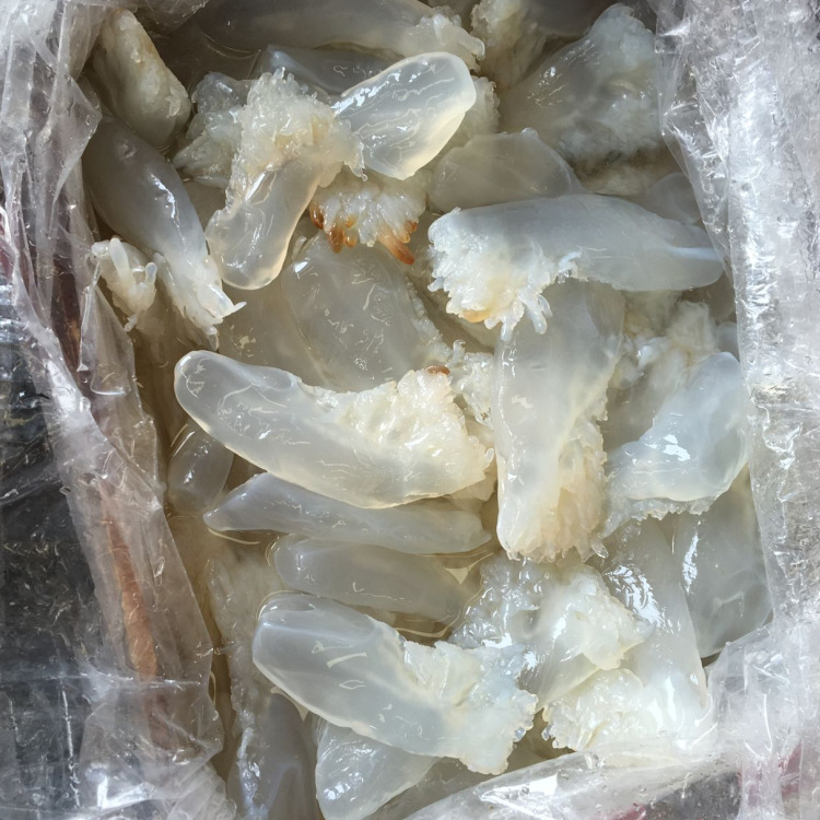 产地海蜇头批发海蜇头大白花广西大白花南越白花长白花广东长白花