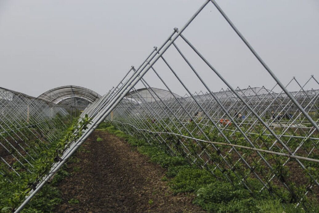 江西钢结构温室大棚 高安蔬菜大棚 钢管连栋,单体大棚 花卉大棚