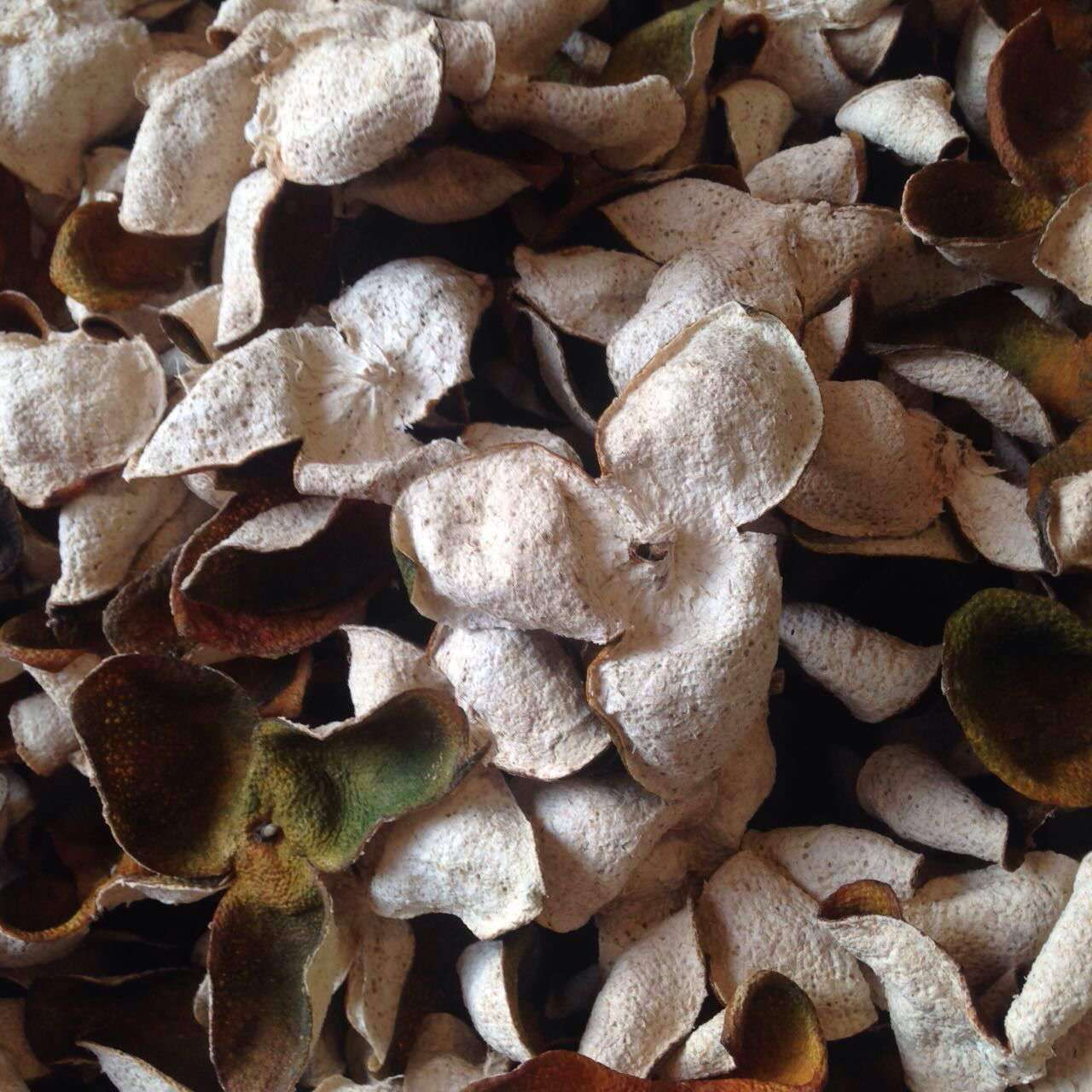 【新会陈皮】_新会陈皮厂家_新会陈皮批发市