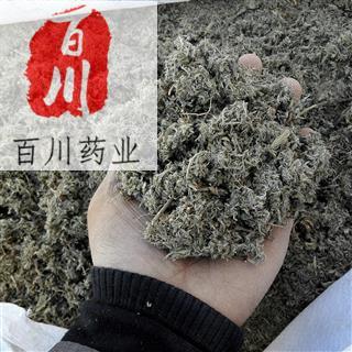 百川药业 茵陈 优质新货 正品 过筛 15天无条件退换-阿里巴巴