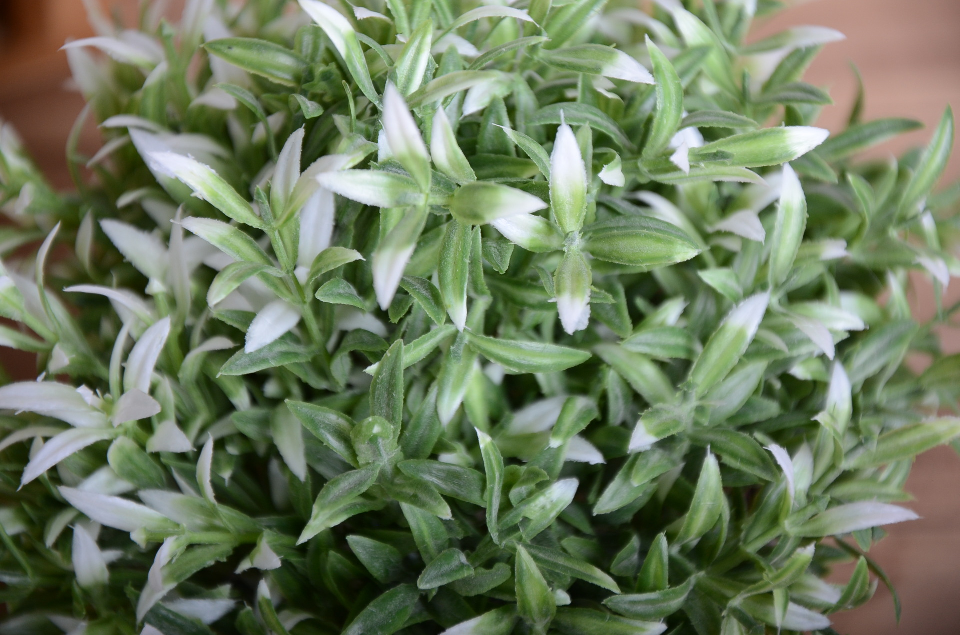 铁木珍新款 麻袋铁丝篮向阳草仿真花 橱窗家居客厅卧室摆件装.