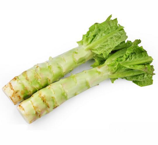 专业种植莴苣莴苣笋青笋莴菜无公害蔬菜无农药残留直供批发