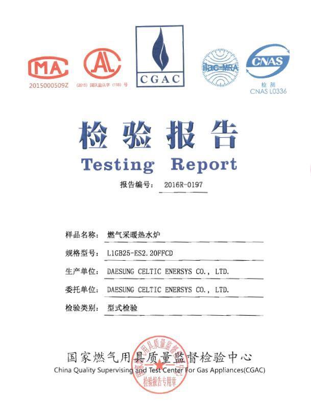 韩国大成壁挂炉 原装进口 燃气锅炉 采暖炉 热水锅炉 家用锅炉