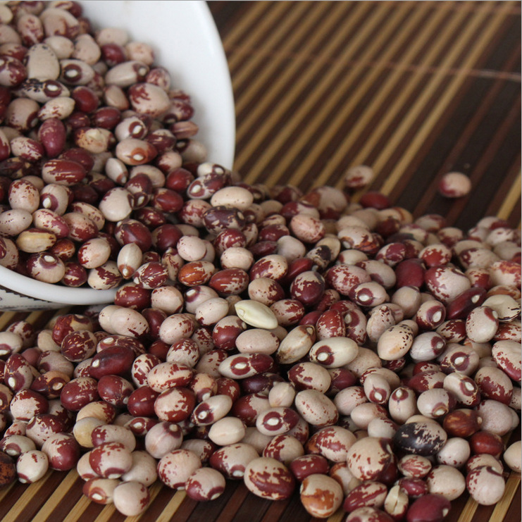 天然花江豆 姜豆 腰豆 花豇豆 五谷杂粮 品质保证 厂家批发