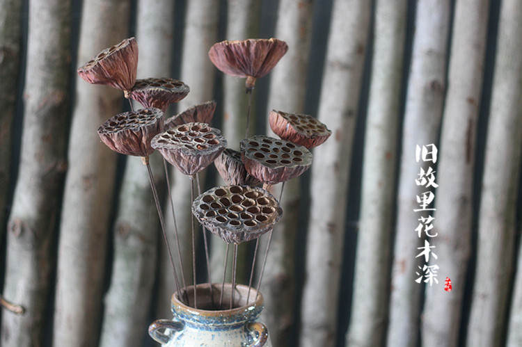 【铁杆莲蓬】家居装饰莲蓬会所摆设艺术组合干花真干莲蓬拍摄道具