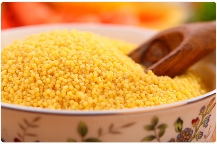 厂家直销2016新米 大金苗 天山大金苗 一级小米 内蒙特.