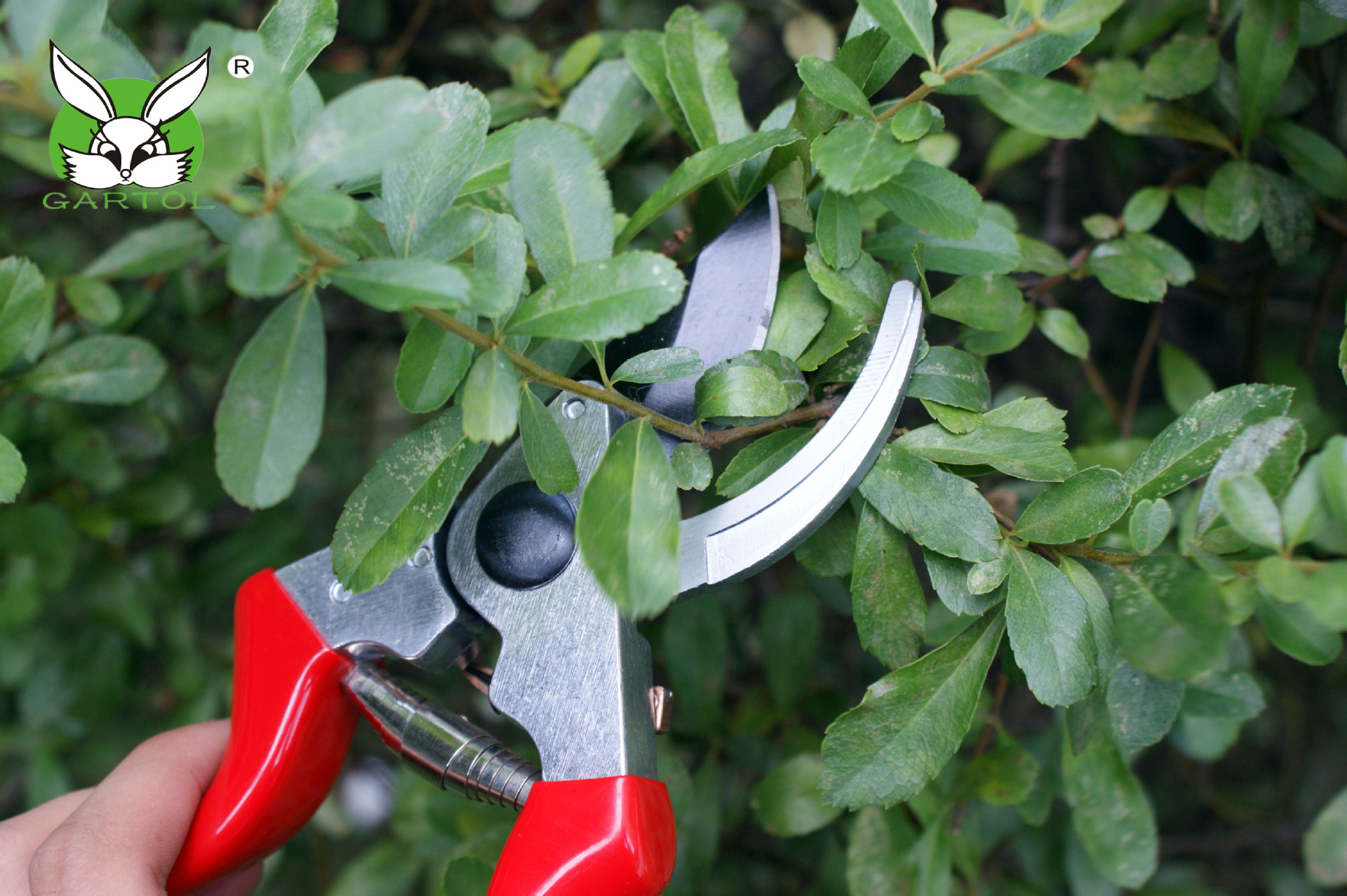爆款直销gartol园艺剪 修枝剪 摘过剪 剪刀口锋利不钝