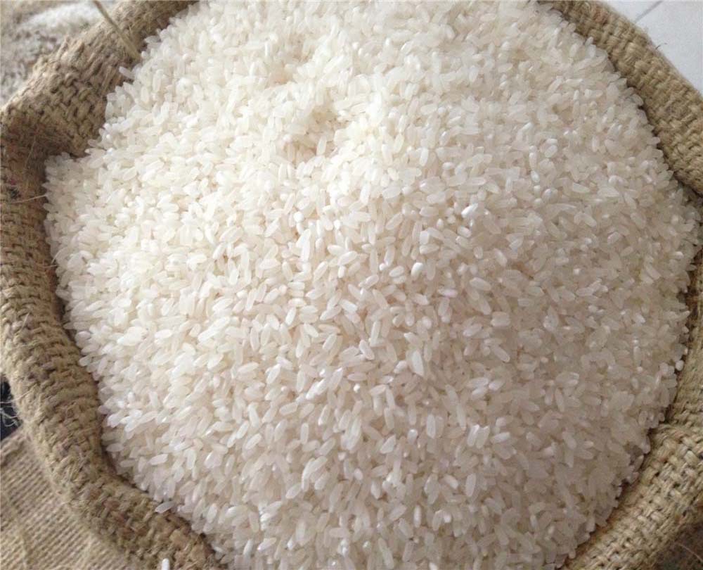 优质大米 厂家直销有机绿色晚籼稻谷 15kg每袋