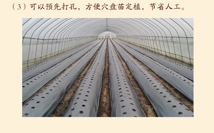 有孔地膜_带孔地膜种植大蒜_郭孔丞有后悔邓丽君吗