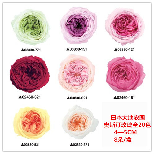 温州鲜花_温州鲜花供应商_温州鲜花批发市场