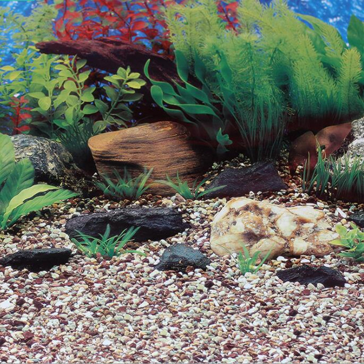 80cm双面厚画 鱼缸背景画 水族装饰背景画 可定制多款水族箱