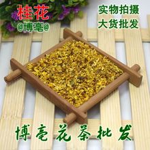 批发供应 花草茶桂花/桂花茶/桂花干