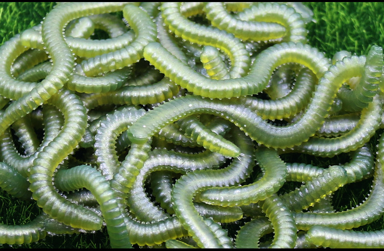 工厂直发带味道沙蚕软饵垂钓假饵 垂钓专用沙蚕假饵仿真饵料 批发